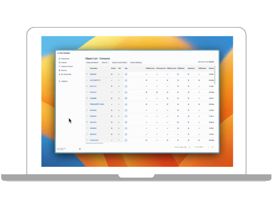 Der Data Manager bietet einen umfassenden Überblick über Assets und verbessert die Datenqualität